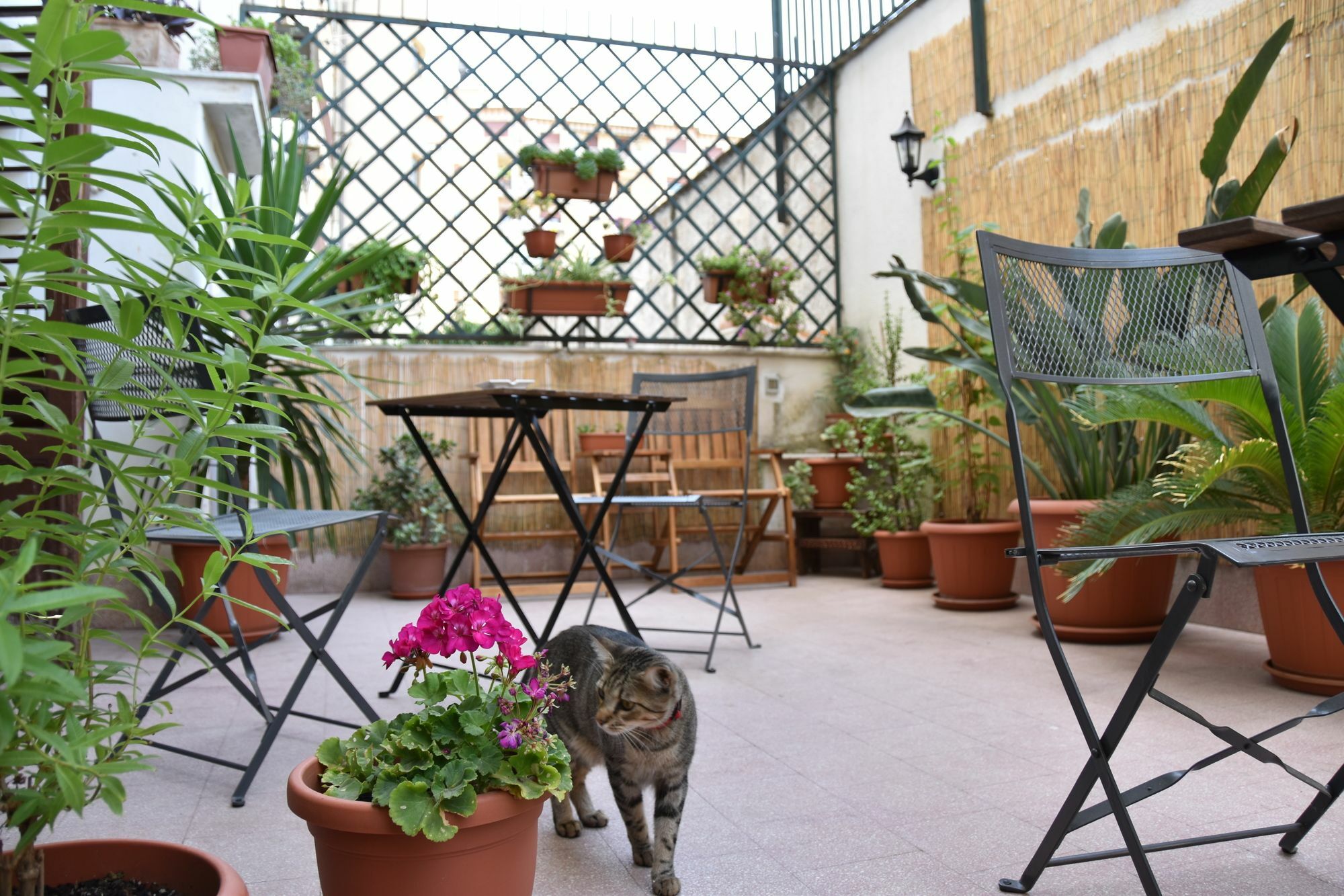 Il Lapino Hotel Palermo Exterior foto